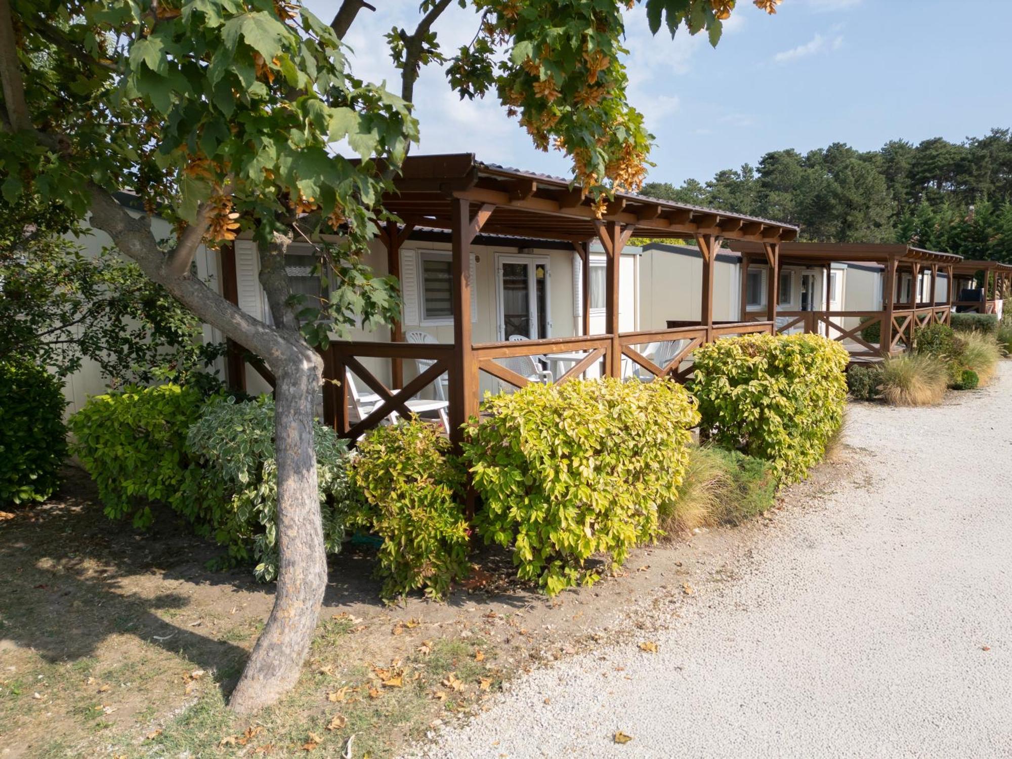 Aranypart Camping & Apartments Siofok Dış mekan fotoğraf